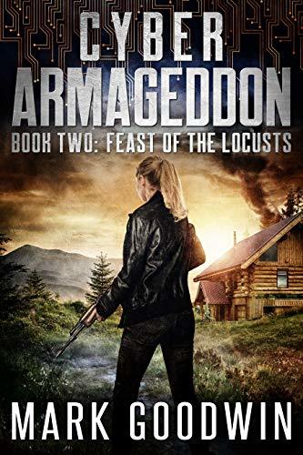 Cyber Armageddon book cover 2