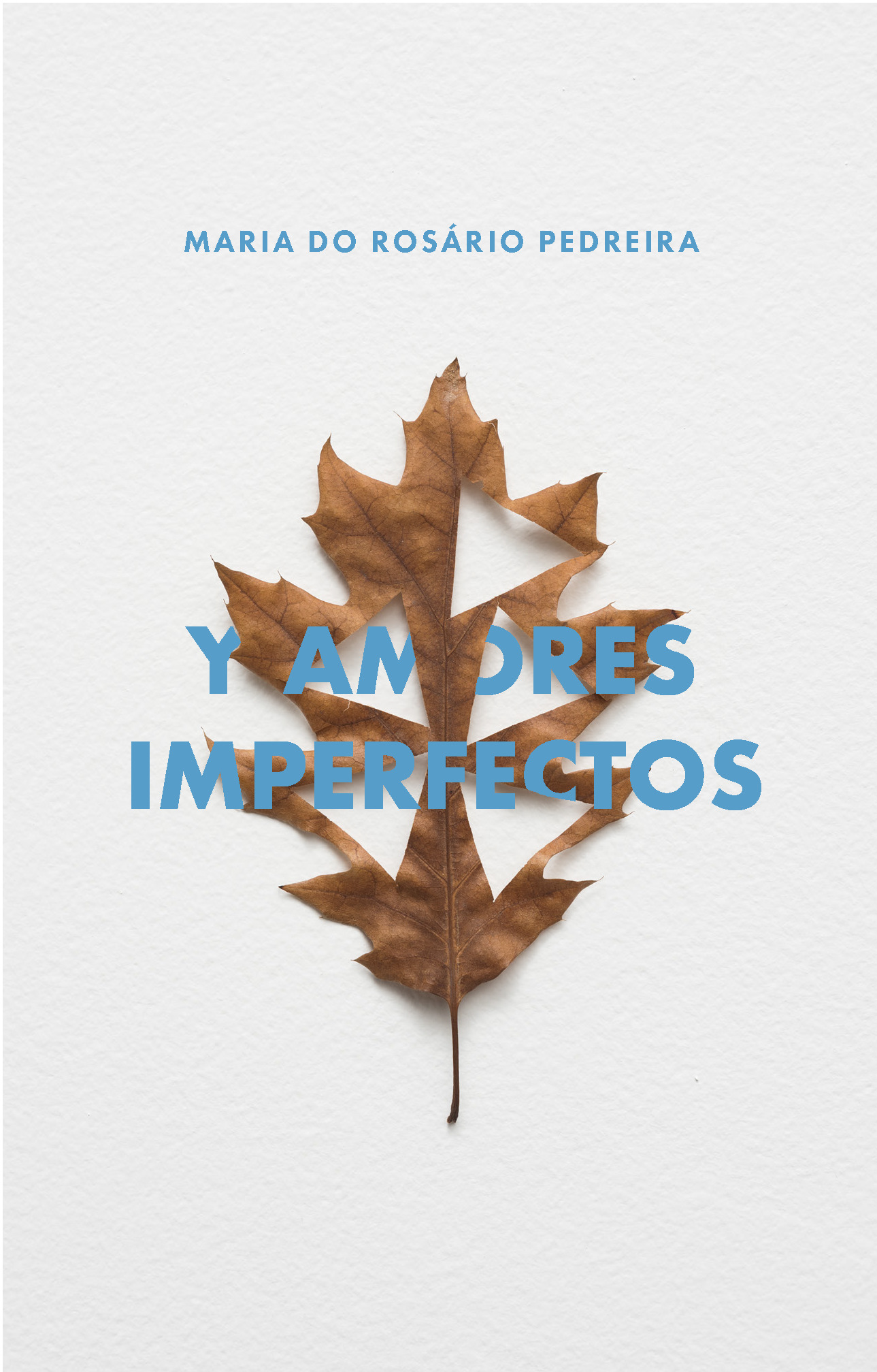 Y amores imperfectos book cover