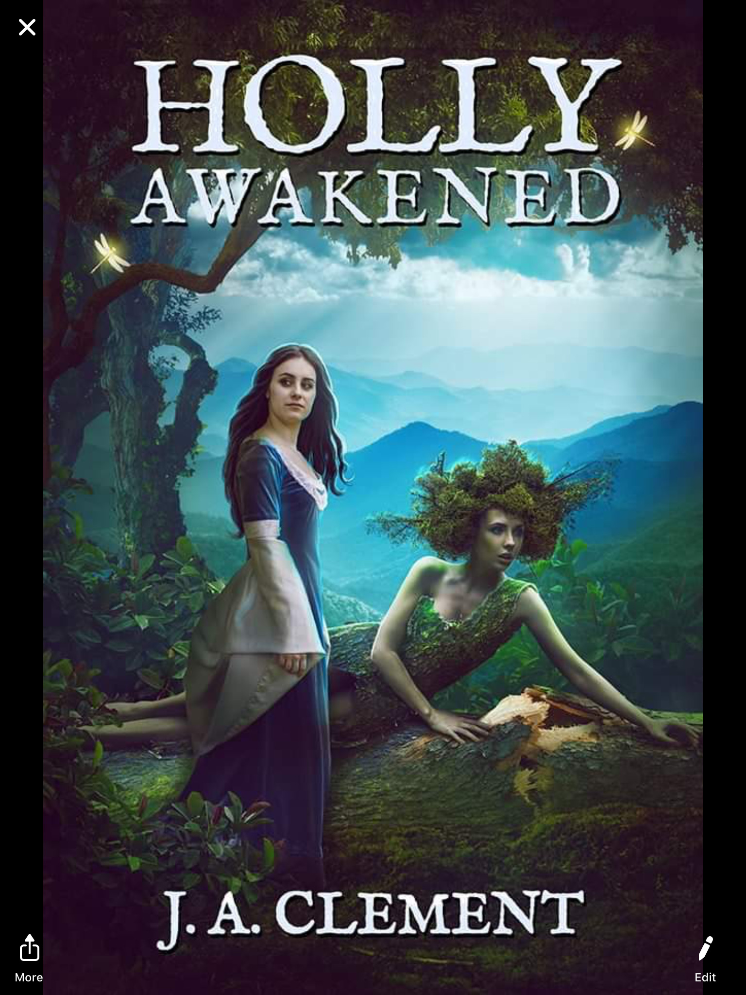 Holly Awakened book cover