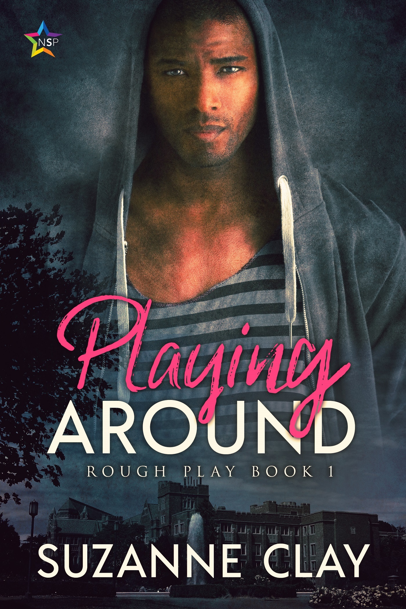 Rough Play book cover 1