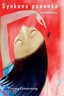 Synkova panenka book cover