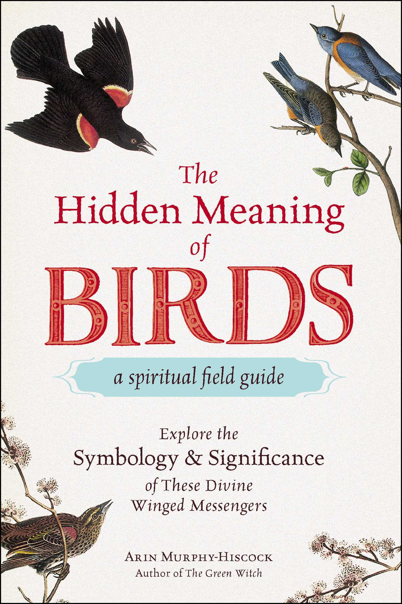 The Hidden Meaning of Birds--A Spiritual Field Guide book cover