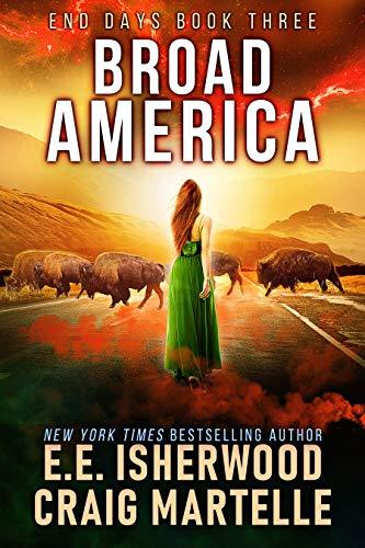 Broad America book cover