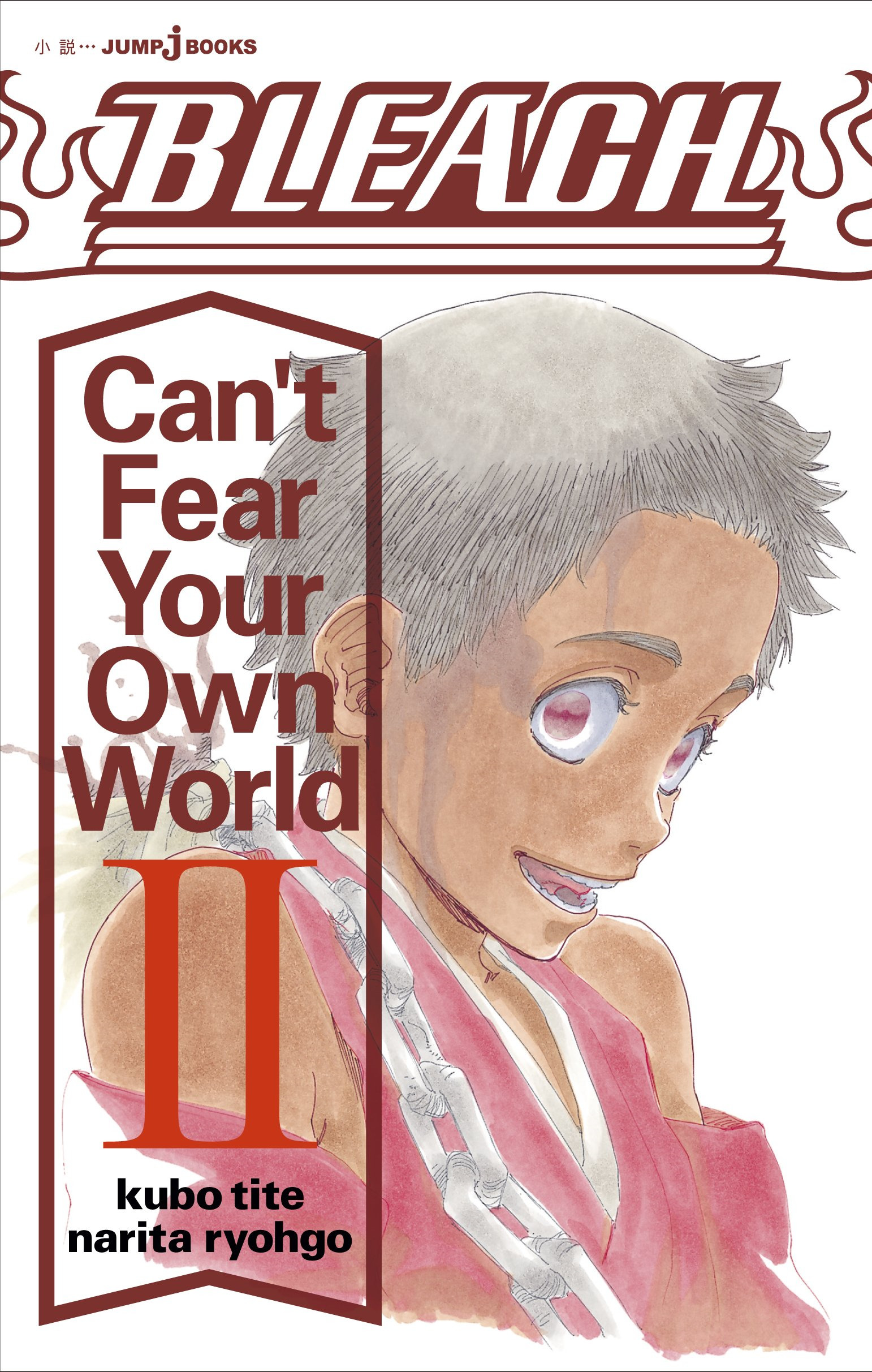 Bleach: Can't Fear Your Own World book cover 2