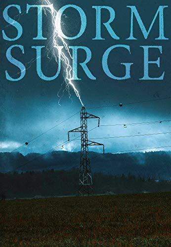 Storm Surge book cover