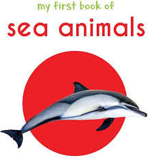 My First Book of Sea Animals: First Board Book