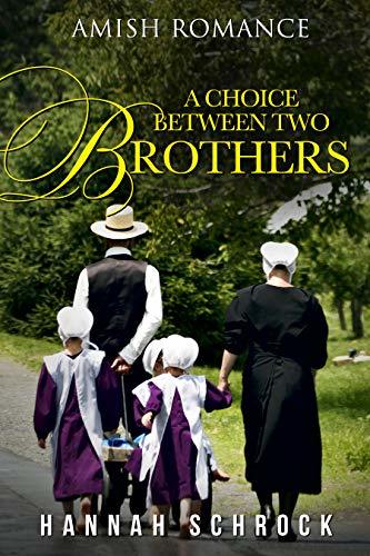 A Choice Between Two Brothers book cover