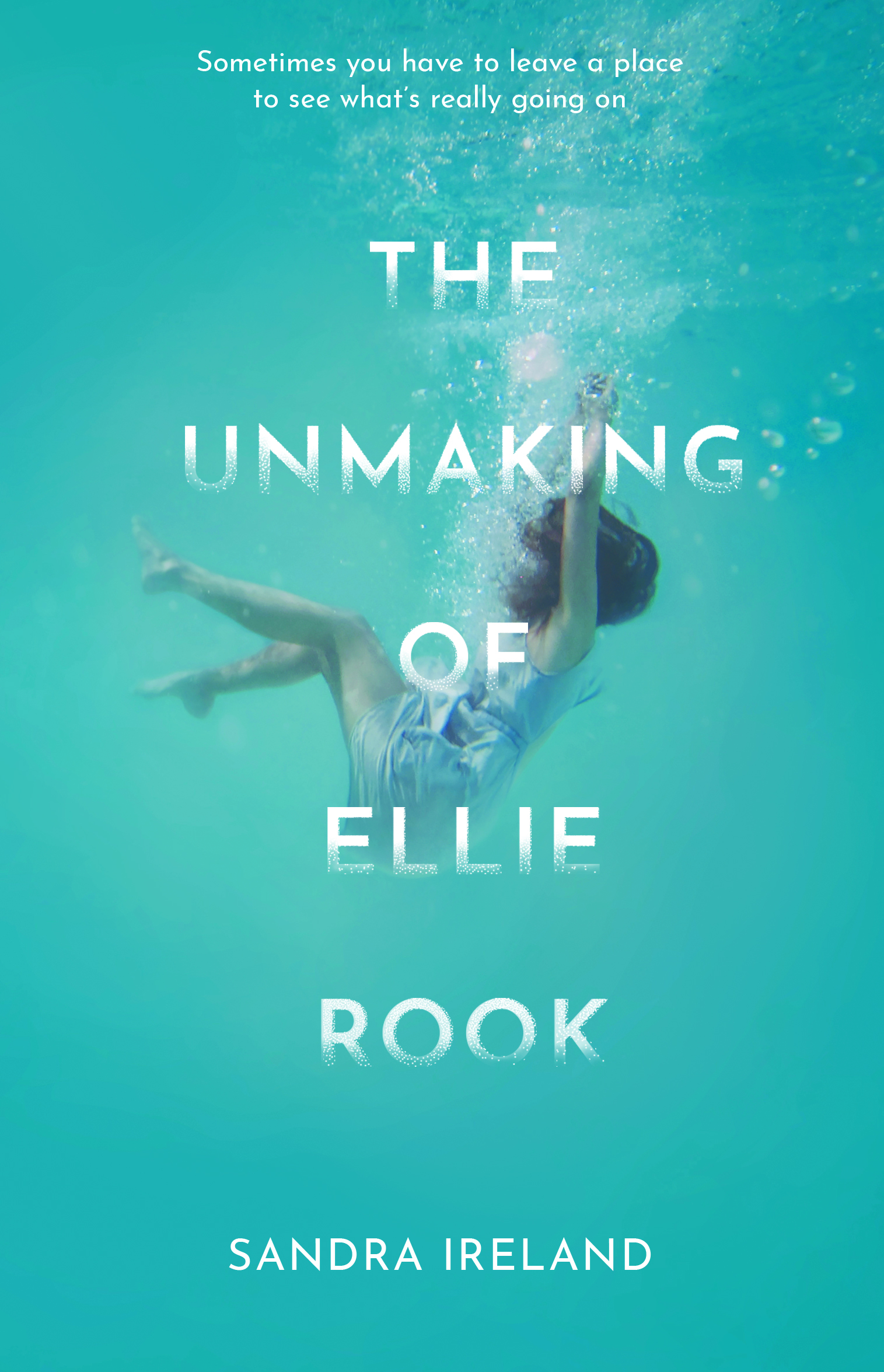The Unmaking of Ellie Rook