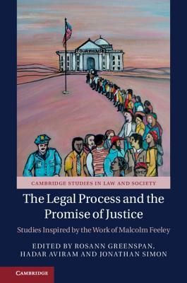 The Legal Process and the Promise of Justice book cover