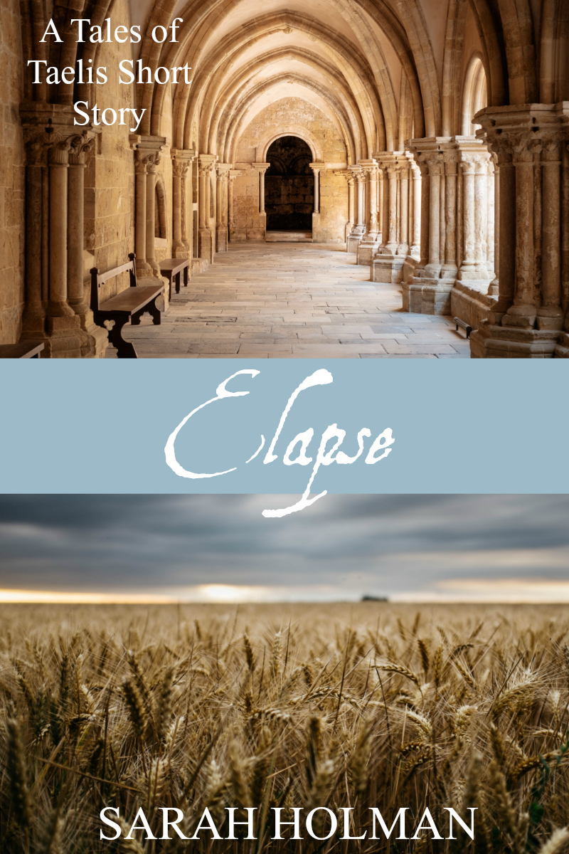 Elapse book cover