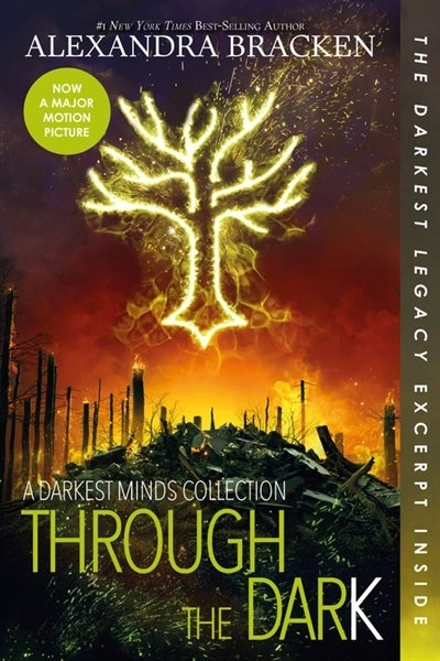 Through the Dark (The Darkest Minds, #1.5, #2.5, #3.5)