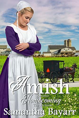 Amish Promise book cover