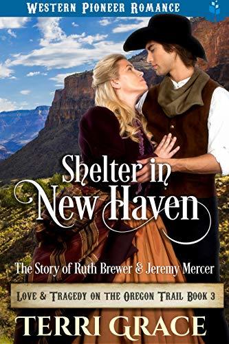 Shelter in New Haven book cover