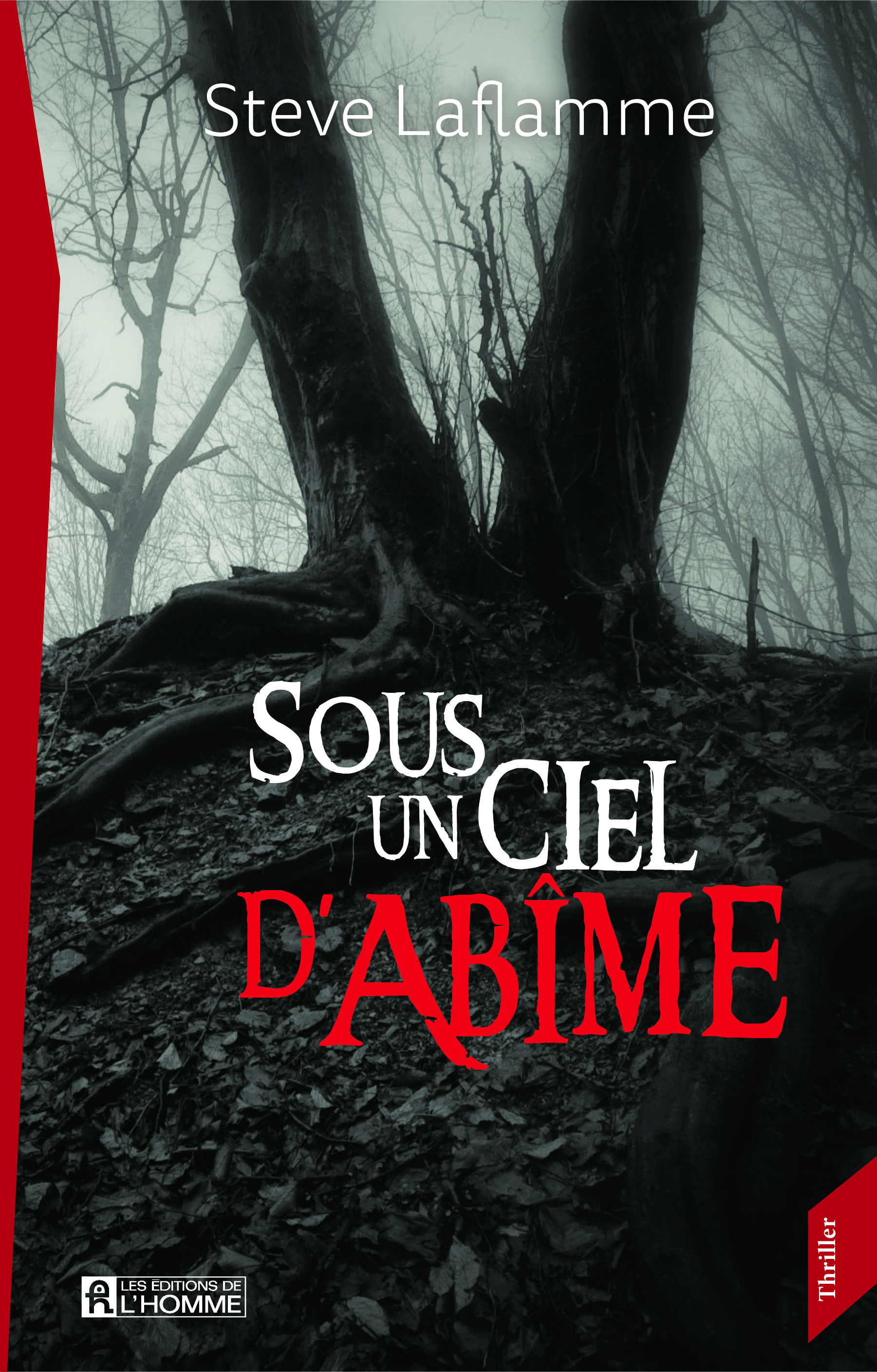 Xavier Martel book cover 2