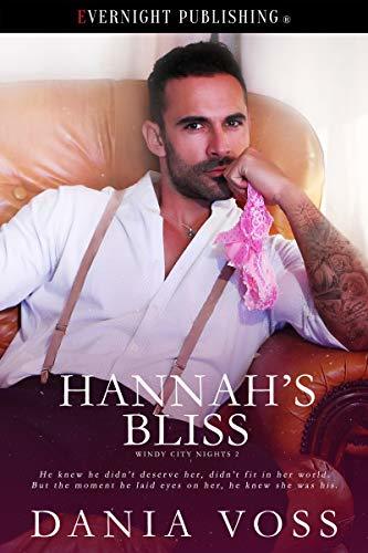 Windy City Nights book cover 3