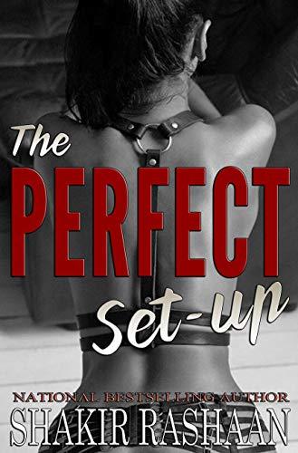 The Perfect Set-Up book cover