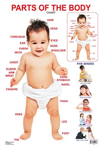 Parts of The Body book cover
