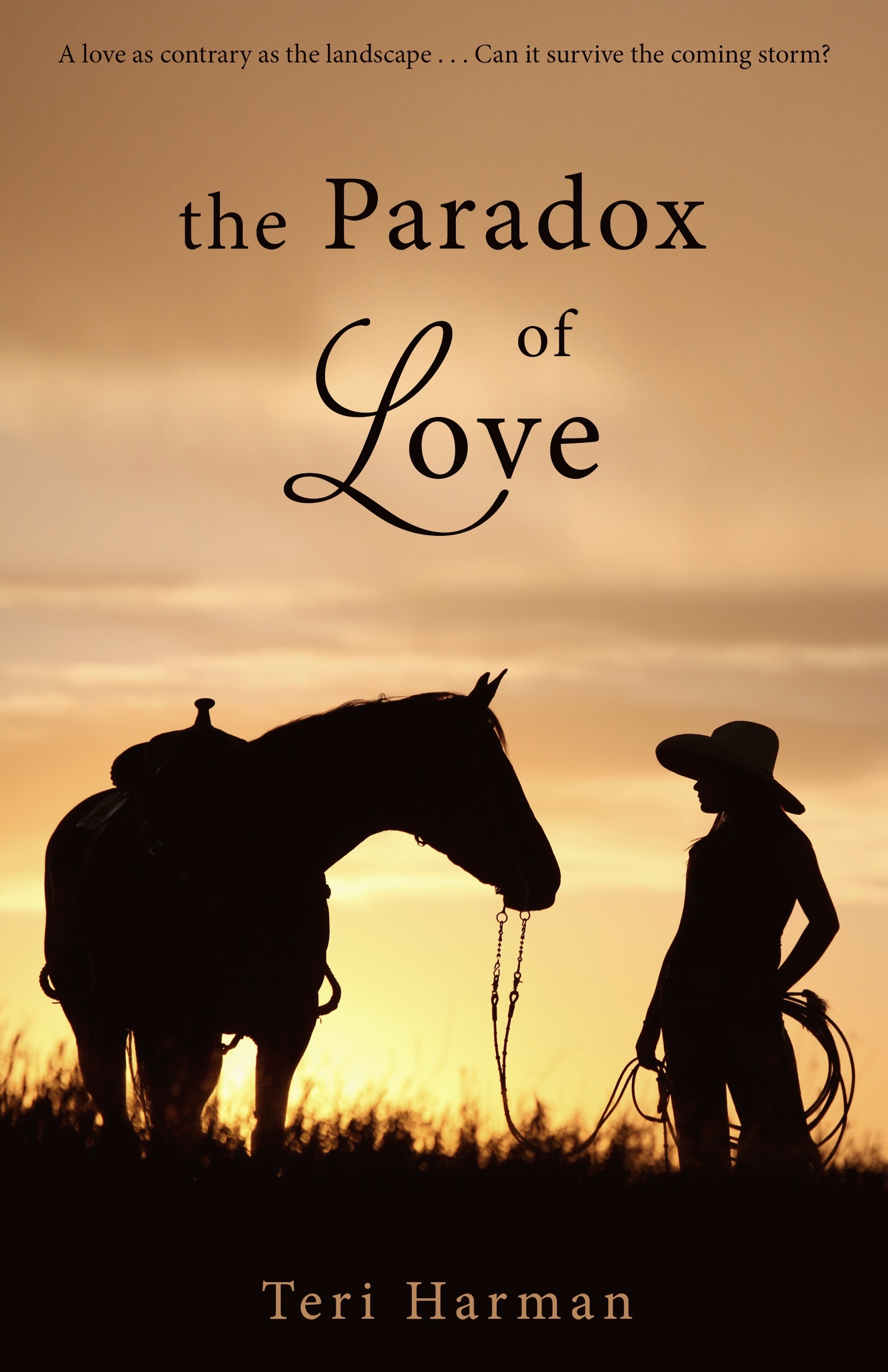 The Paradox of Love book cover