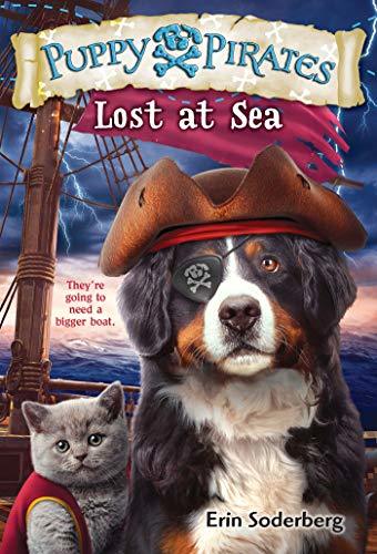 Lost at Sea book cover
