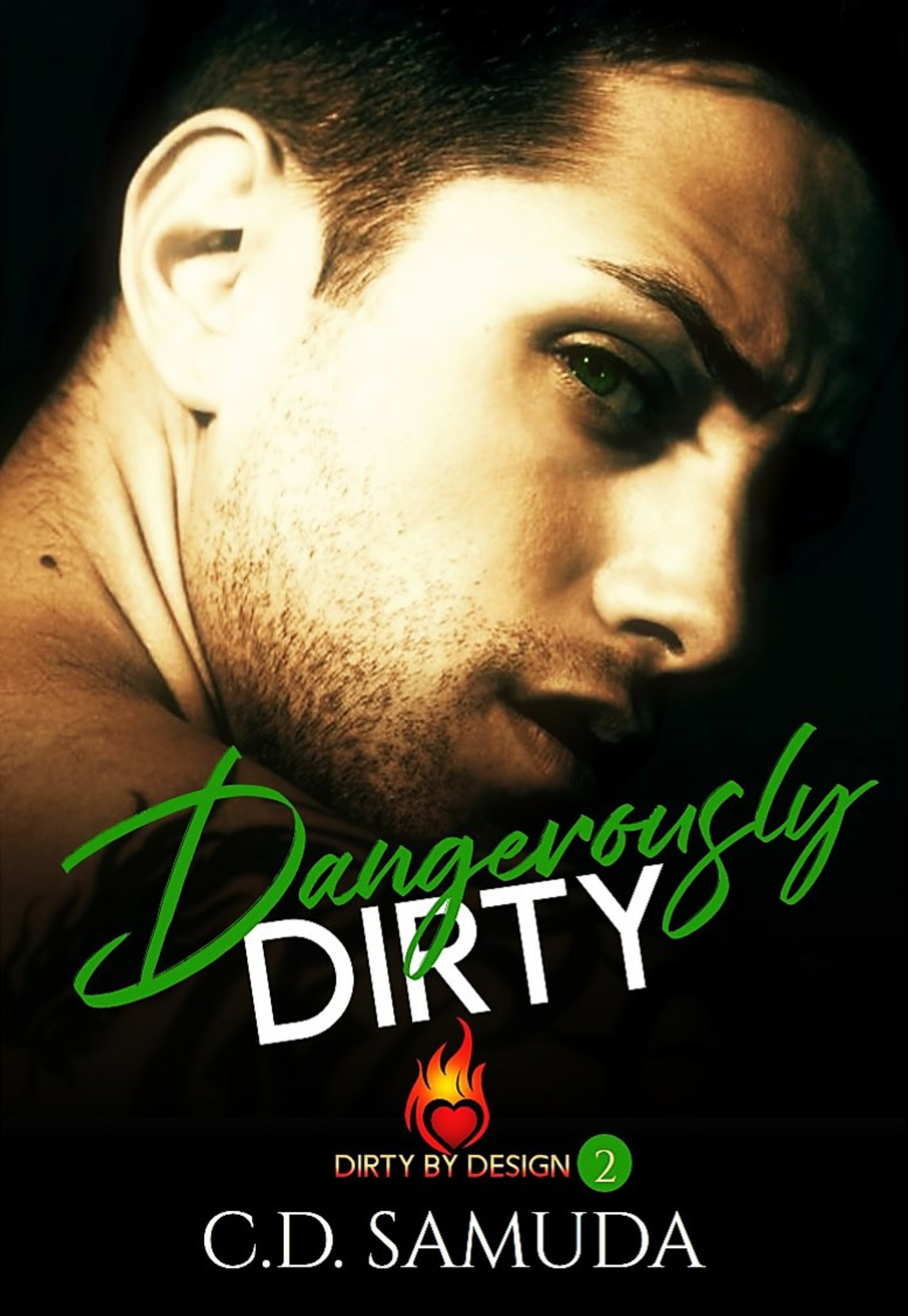 Dangerously Dirty book cover