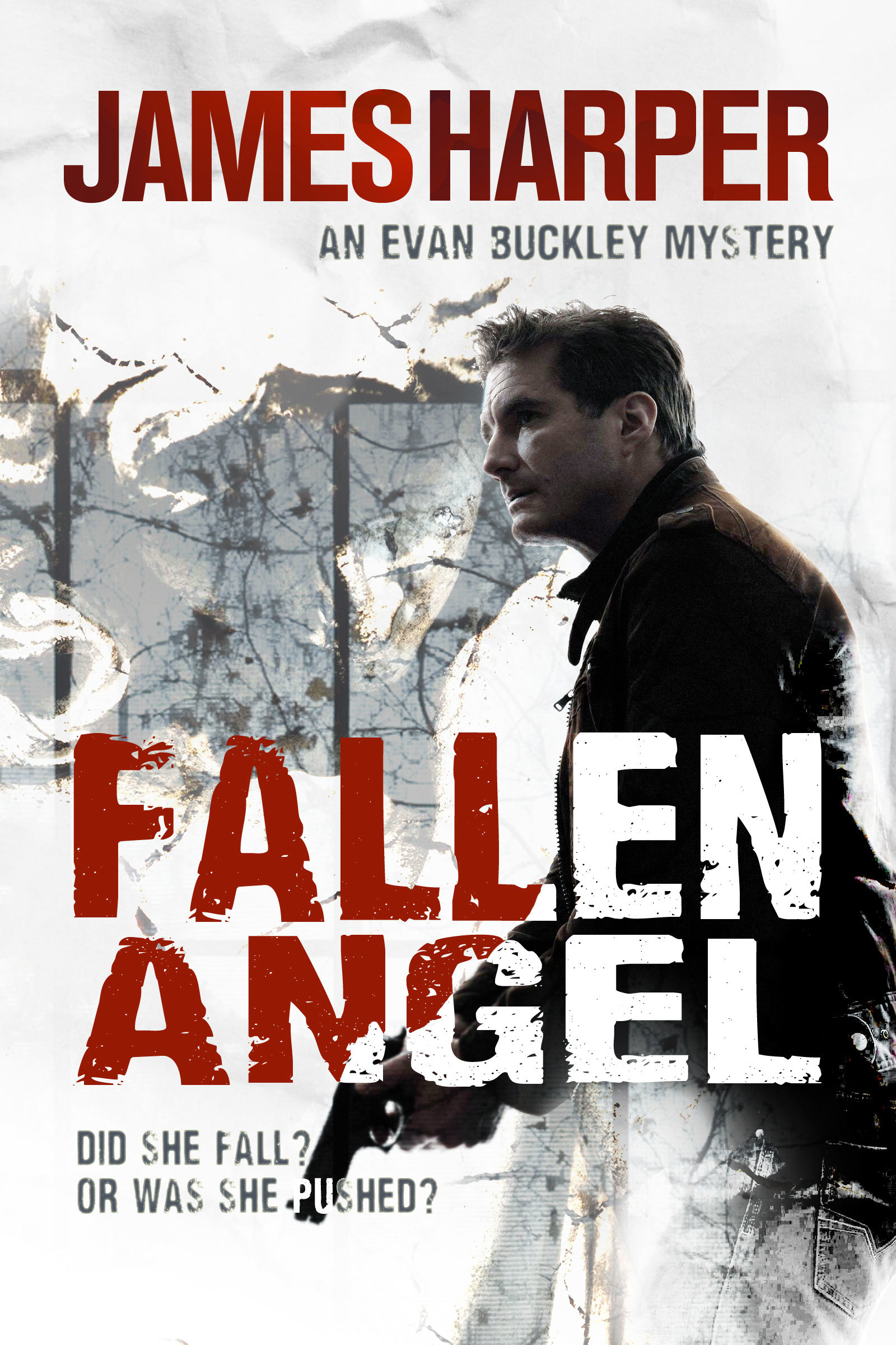 Fallen Angel book cover