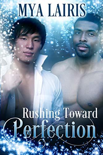 Rushing Towards Perfection book cover