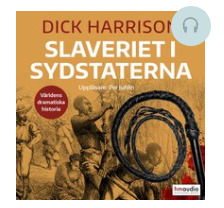 Slaveriet i Sydstaterna book cover