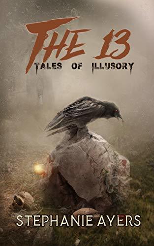 The 13 book cover 1