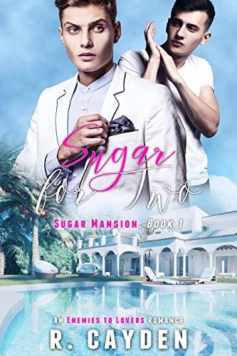 Sugar Mansion book cover 1
