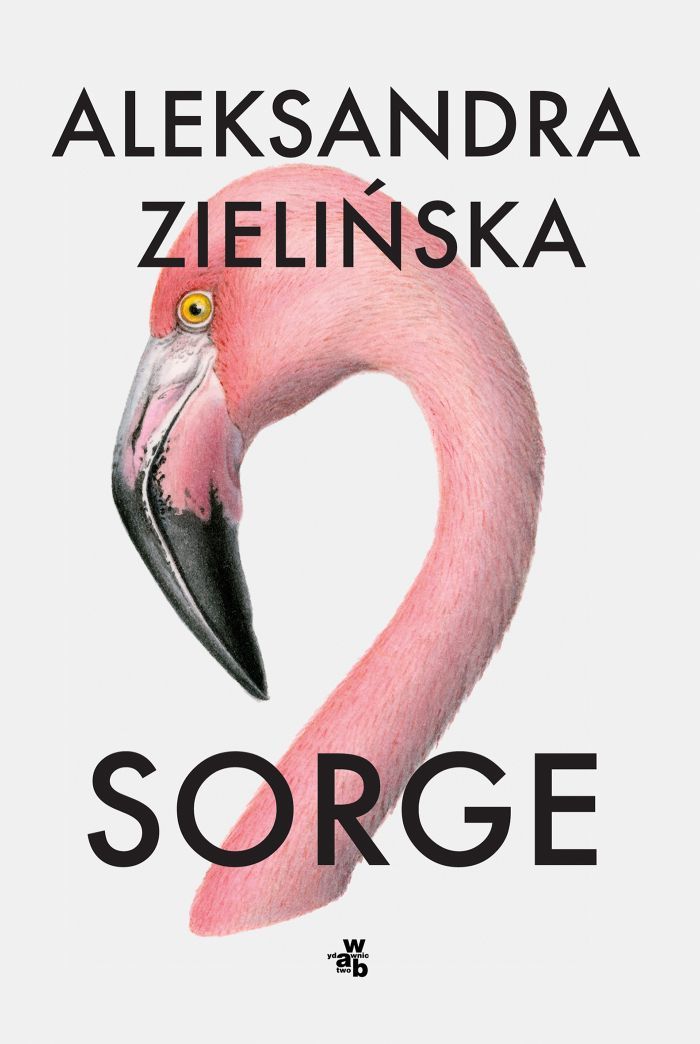 Sorge book cover