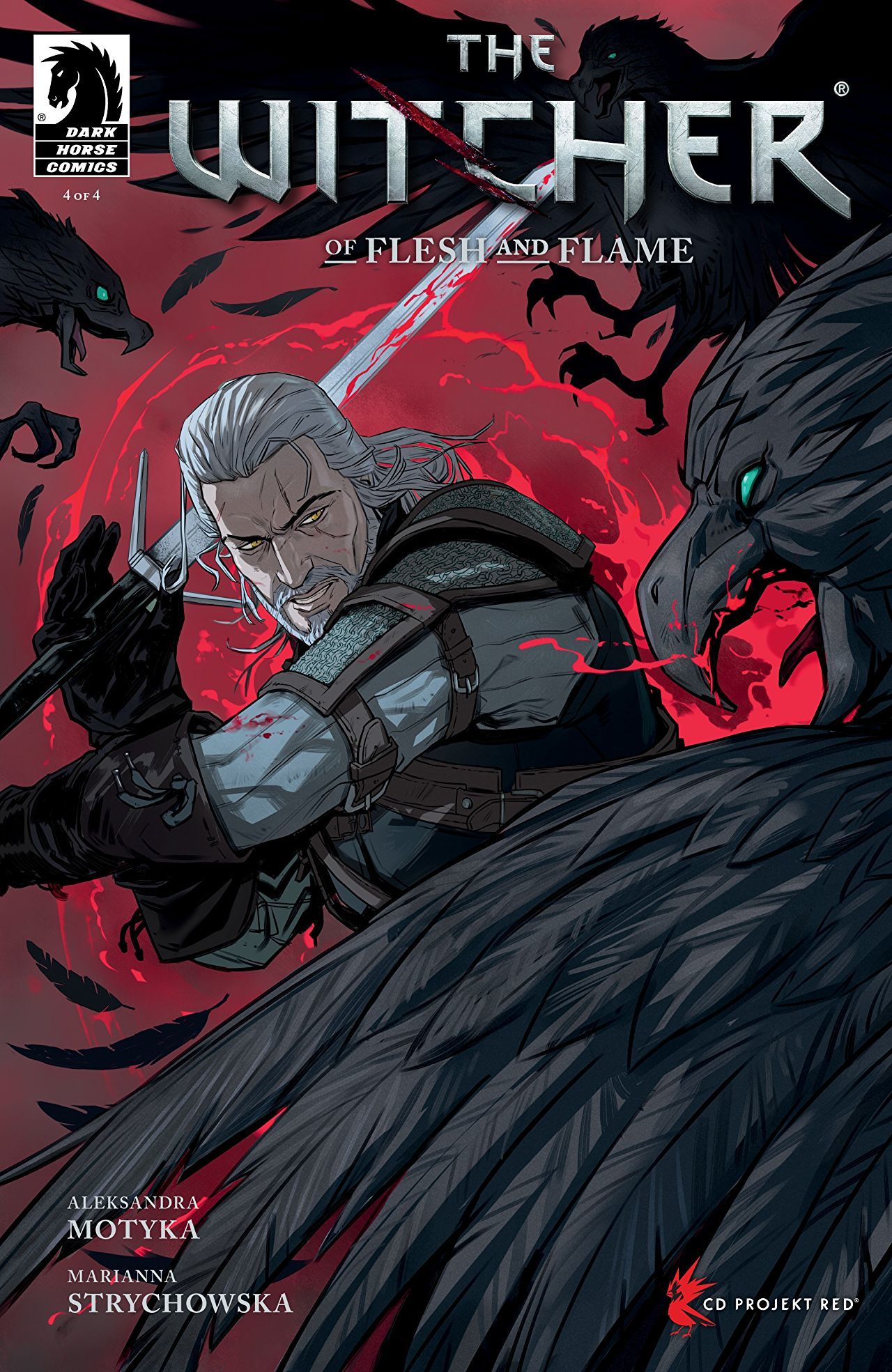 The Witcher book cover
