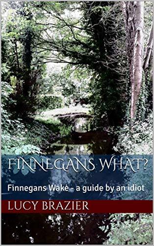 Finnegans What? book cover
