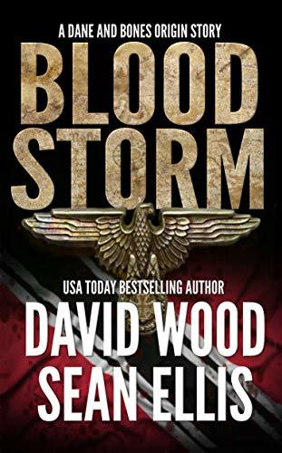Bloodstorm book cover