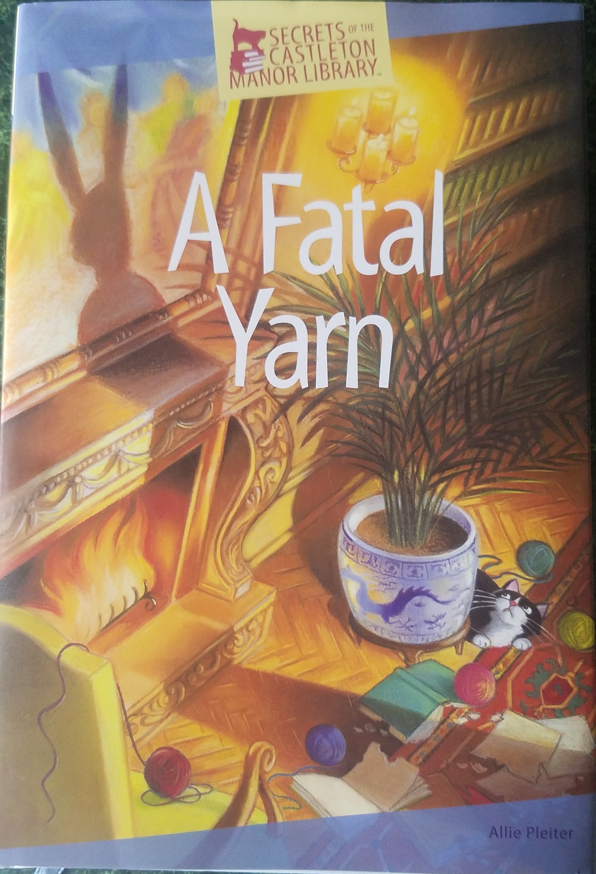 A Fatal Yarn book cover