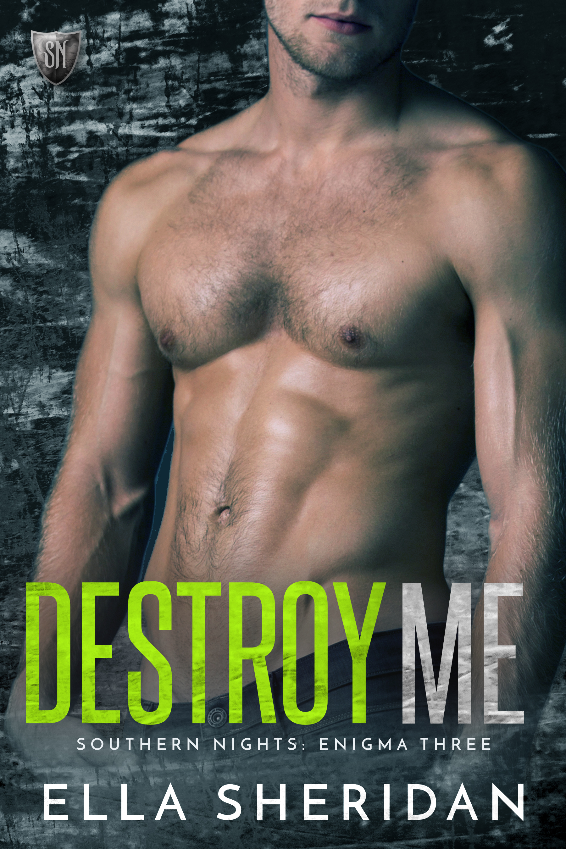 Милый монстр читать шеридан энн. Шеридан книги. destroy me book. женский дестройд книга.