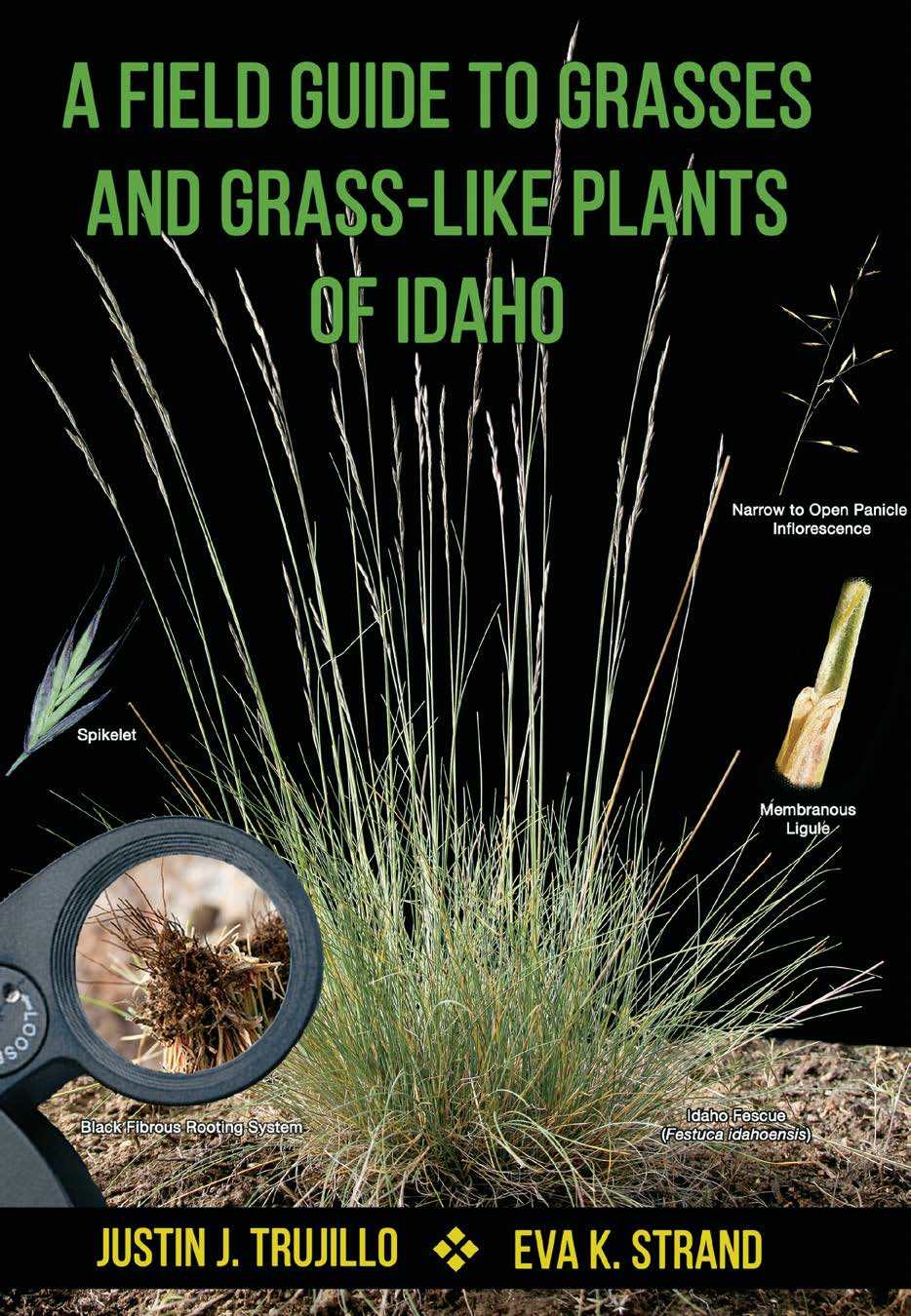 A Field Guide to Grasses and GrassLike Plants of Idaho by Justin J