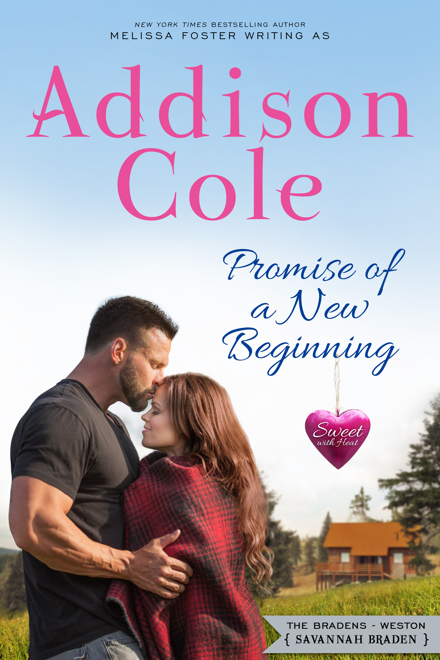 Promise of a New Beginning book cover