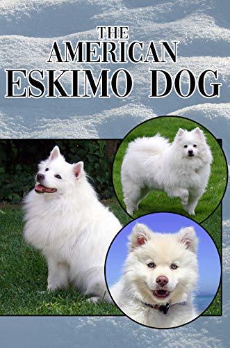 The American Eskimo Dog: A Complete and Comprehensive Beginners Guide ...