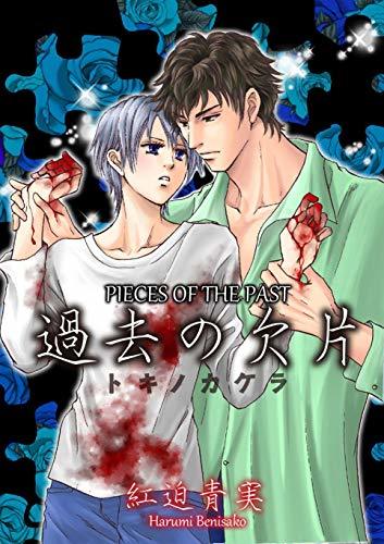 Pieces of The Past (Yaoi Manga) Vol. 1