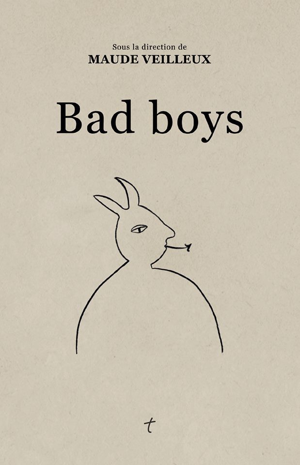 Bad boys book cover