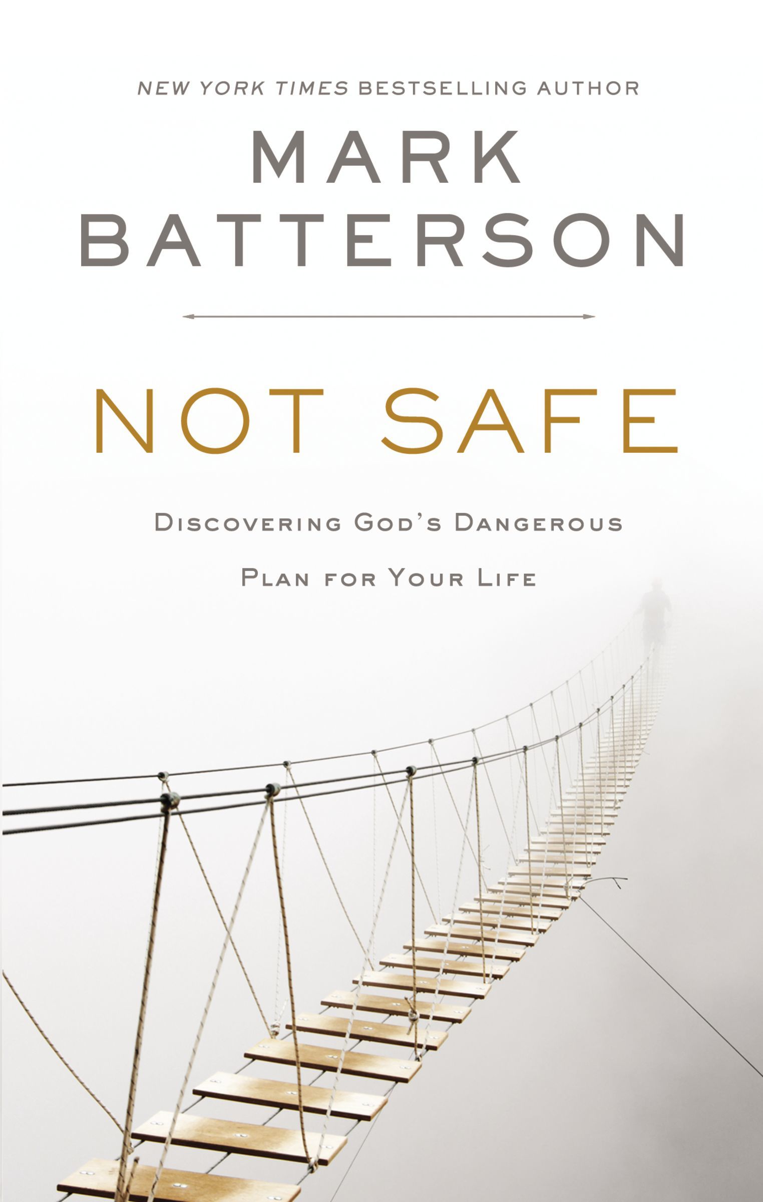 Not Safe book cover