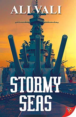 Blue Skies book cover 2