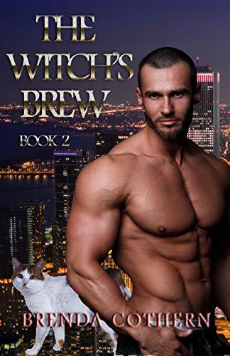 The Witch's Brew book cover 2