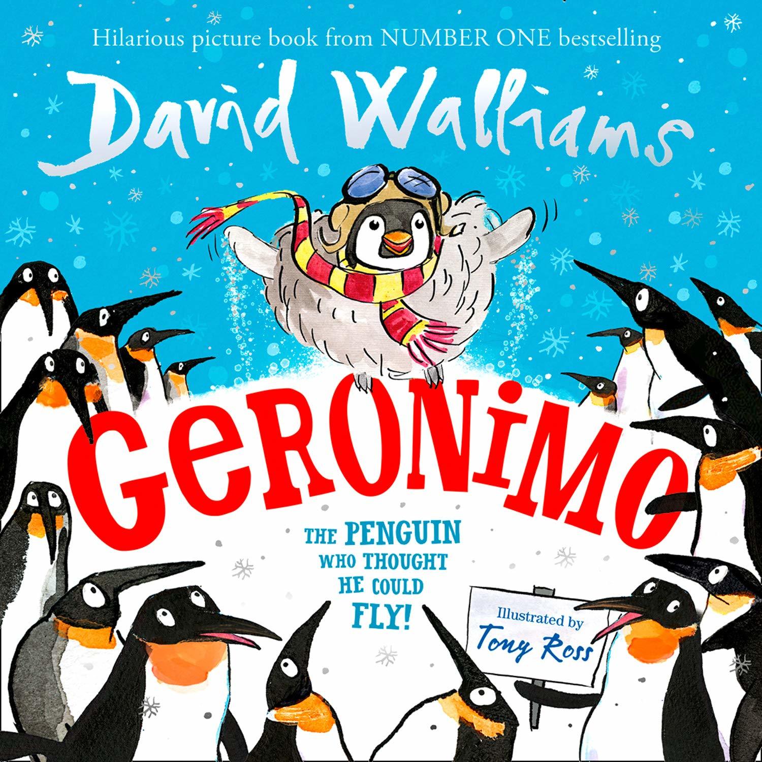 Geronimo - The Penguin Who Thought He Could Fly book cover