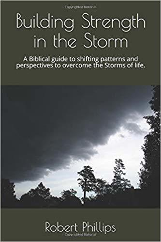 Building Strength in the Storm: A Biblical guide to shifting patterns ...