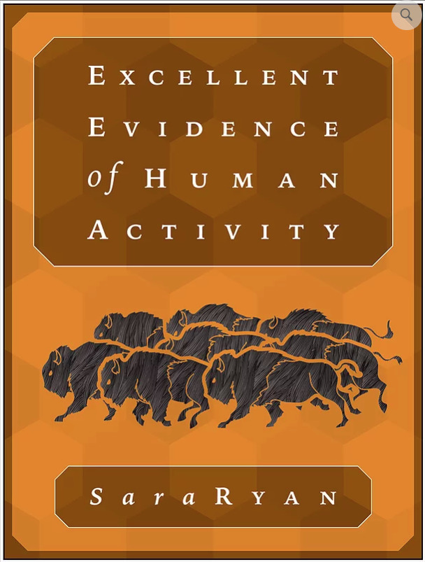 Excellent Evidence of Human Activity