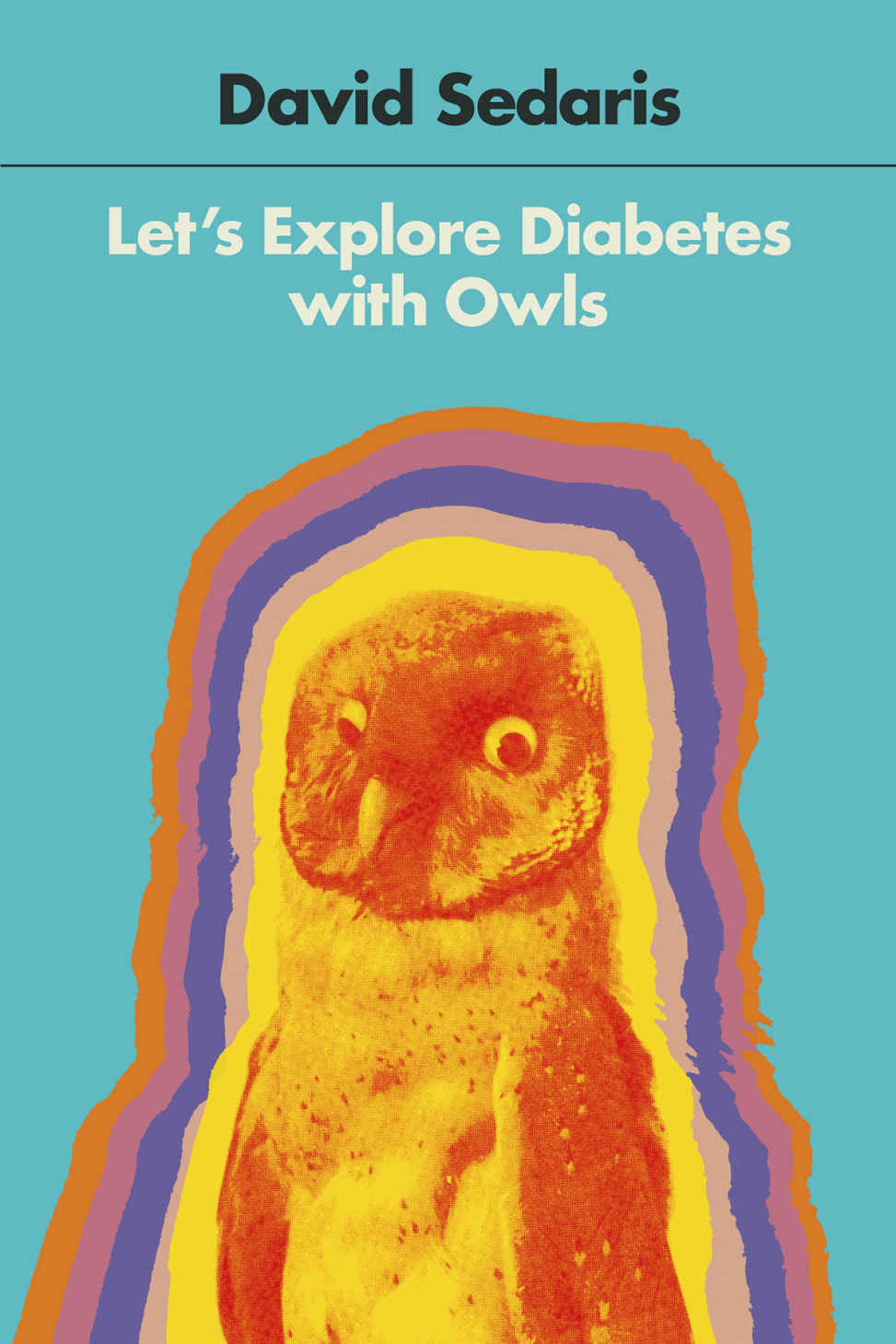 Let's Explore Diabetes with Owls