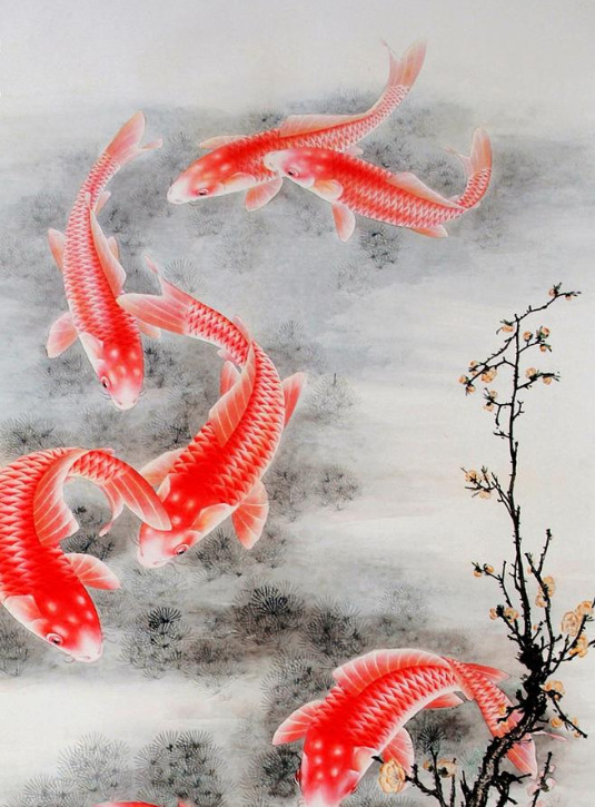 The Fish of Lijiang book cover