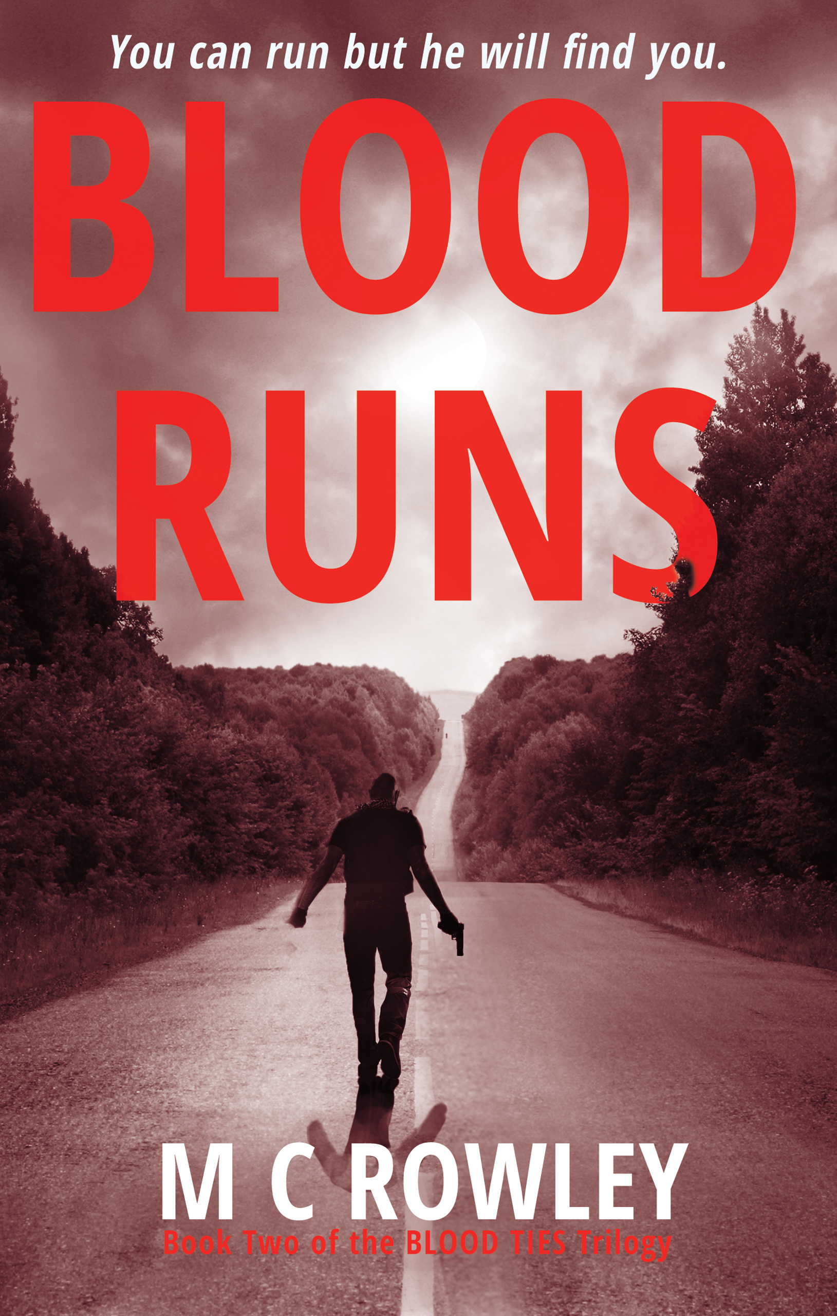 Blood Runs (Blood Ties Trilogy #2) by M.C. Rowley | Goodreads