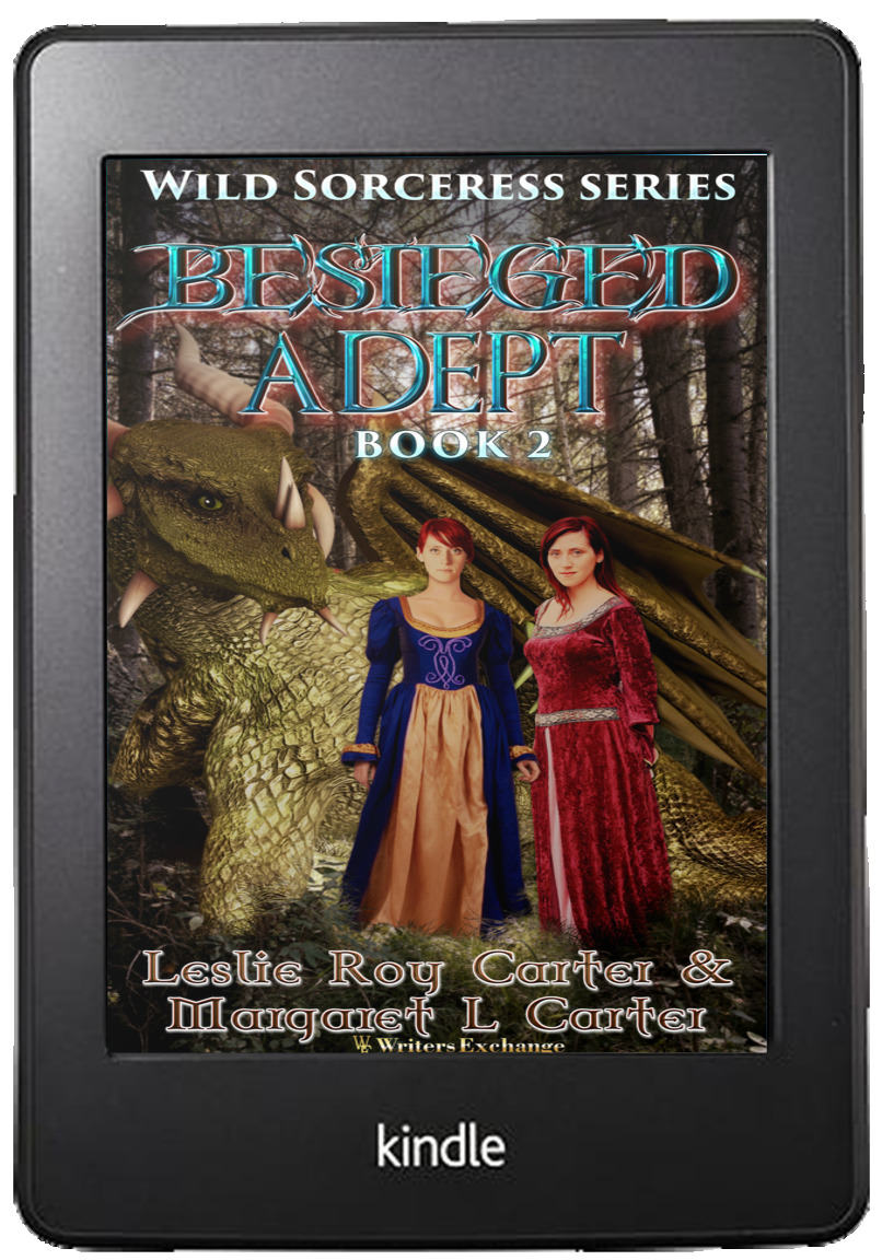 Besieged Adept book cover